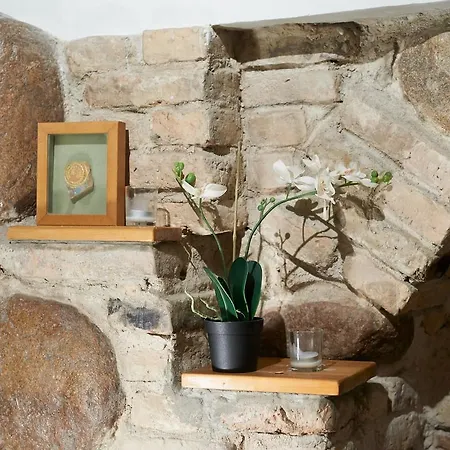 Saint Michael Old Town Cellar And Studio فيلنيوس